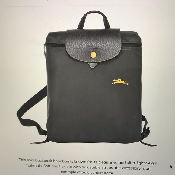 dark grey longchamp bag